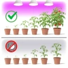 Żarówka do roślin LED PLANTY W 7W E27 1200K biała Kobi Design rezultaty wykorzystania