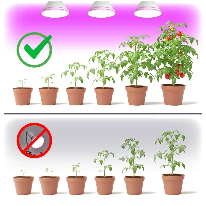 Żarówka do roślin LED PLANTY W 7W E27 1200K biała Kobi Design rezultaty wykorzystania
