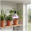Żarówka grow LED E27 7W PLANTY Kobi Design