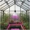 Żarówka do roślin LED PLANTY W 7W E27 biała Kobi Design