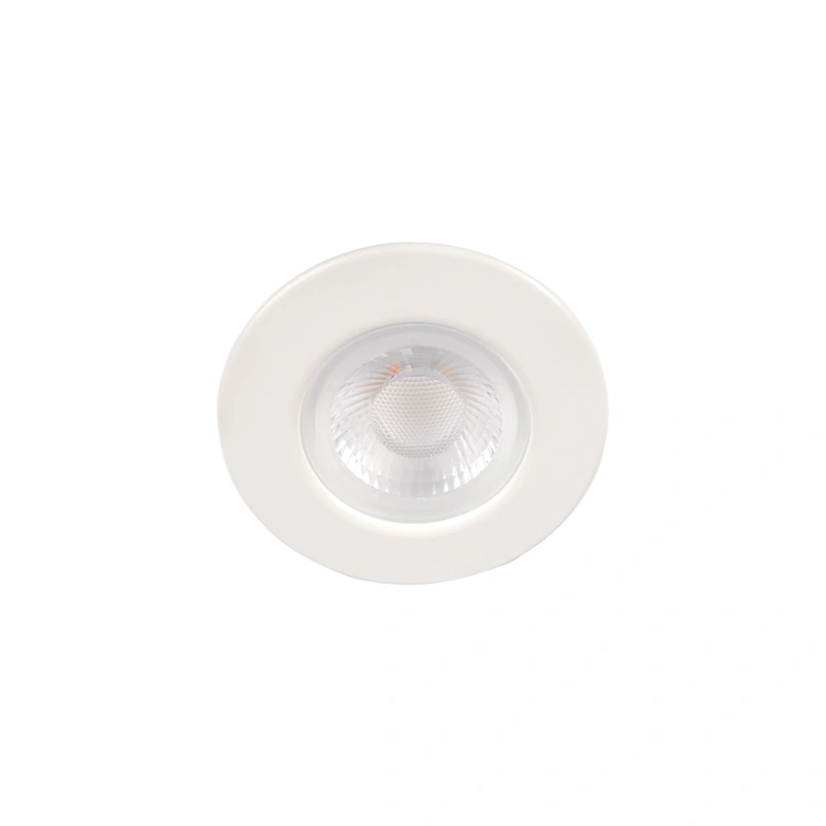 Oczko sufitowe FIZU PRO IP65 CCT W 5,5W 220-240 AC barwa 3000/4000/6500K okrągły kolor biały Gwarancja lat 5