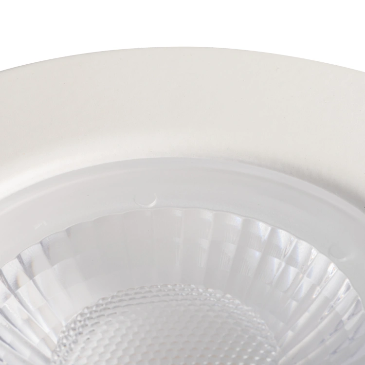 Oczko sufitowe FIZU PRO IP65 CCT W 5,5W 220-240 AC barwa 3000/4000/6500K okrągły kolor biały Gwarancja lat 5
