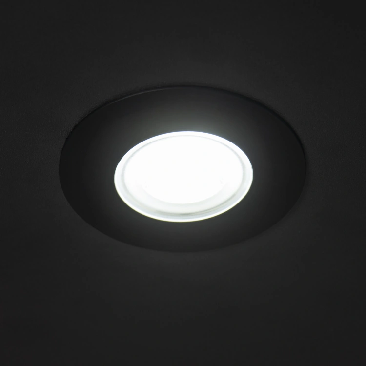 Oczko sufitowe FIZU PRO IP65 CCT B 5,5W 220-240 AC barwa 3000/4000/6500K okrągły kolor czarny Gwarancja lat 5