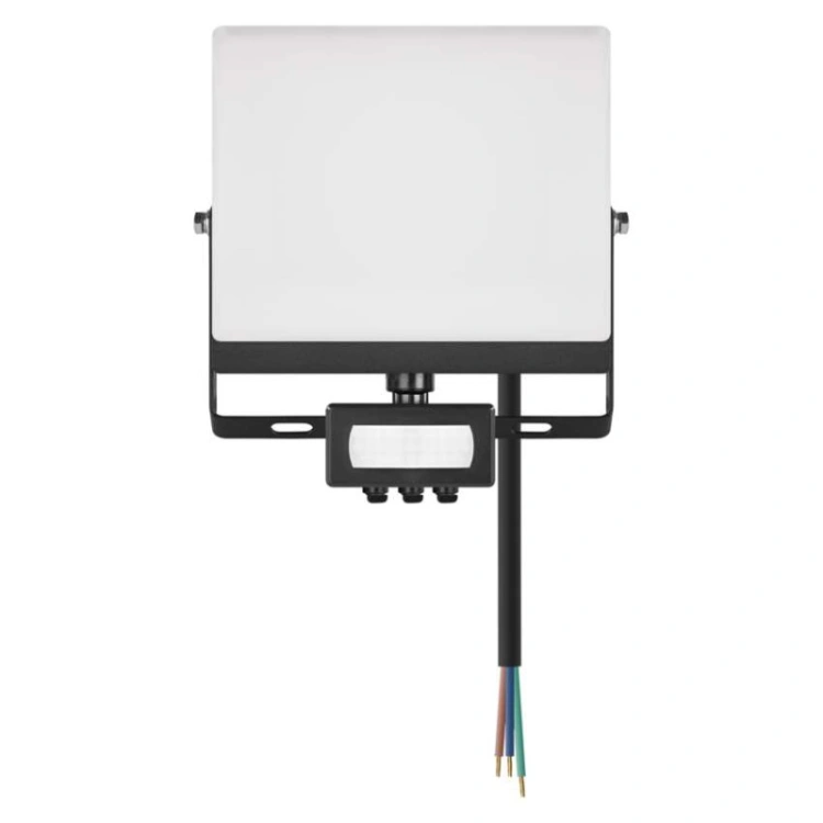 Naświetlacz LED TAMBO EVO z czujnikiem PIR, 30 W, 3000 lm, IP44, czarny