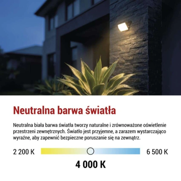 Naświetlacz LED TAMBO EVO, 10 W, 1000 lm, IP65, czarny