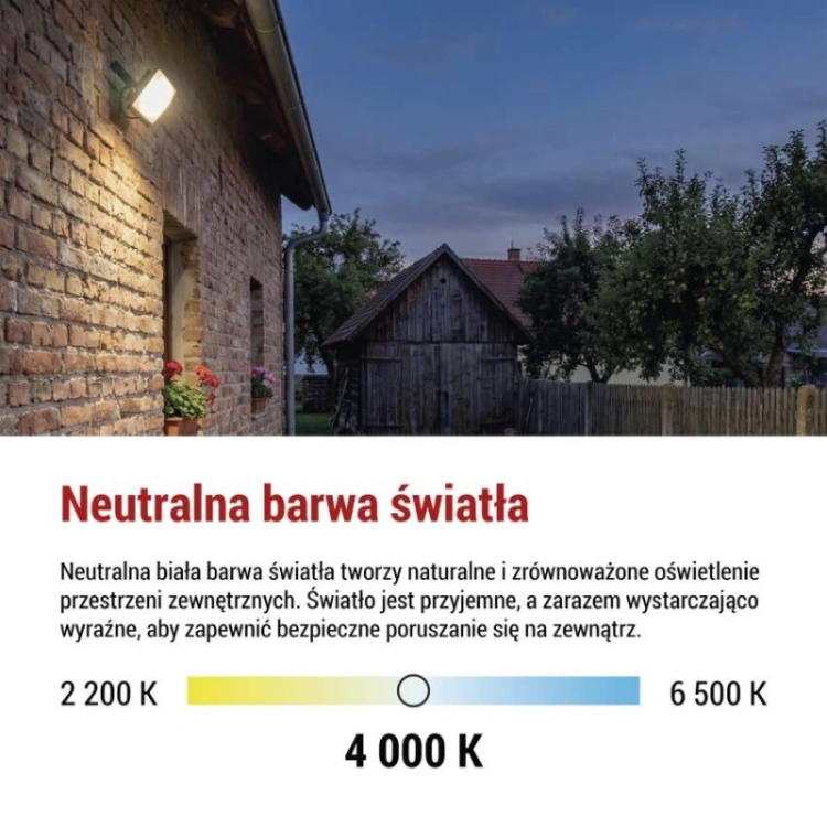 Naświetlacz LED TAMBO EVO, 30 W, 3000 lm, IP65, czarny