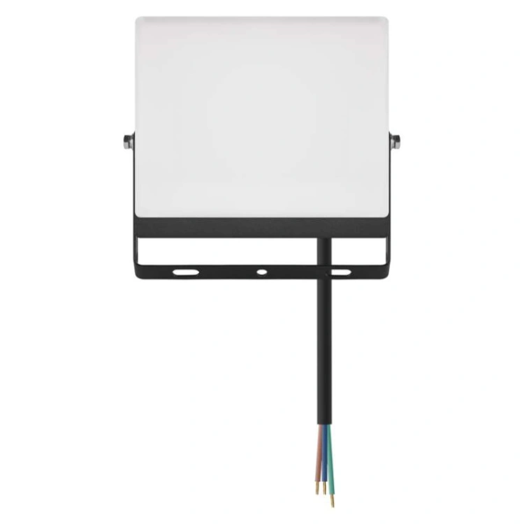 Naświetlacz LED TAMBO EVO, 30 W, 3000 lm, IP65, czarny