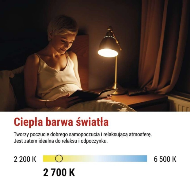 Żarówka LED Filament A70 / E27 / 11.6 W (150 W) / 2 452 lm / ciepła biel / A CLASS