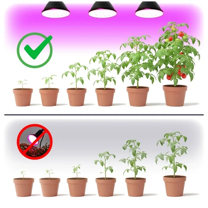 Kobi PLANTY B PPF 10,5 mikromola na sekundę