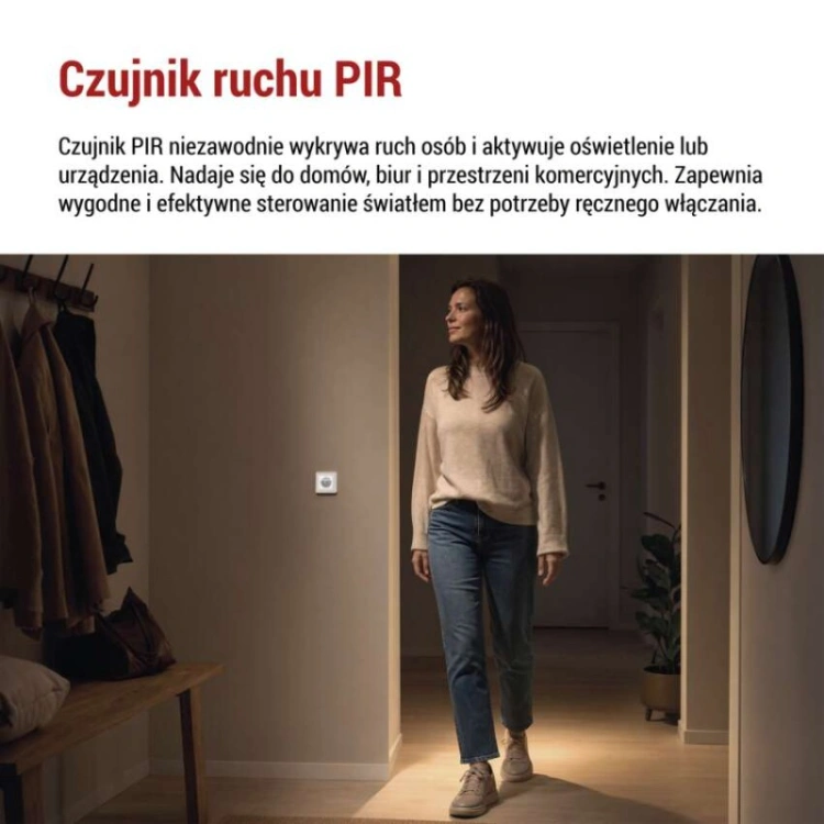Czujnik ruchu PIR IP20 500W, biały