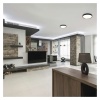 Oprawa LED do montażu natynkowego ILVI, okrągła 30 W, regulacja jasności + CCT, czarna +