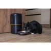 GoSmart Karmidło z kamerą PET CARE, 4 l, czarne, Wi-Fi