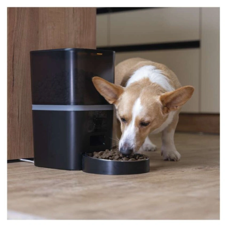 GoSmart Karmidło z kamerą PET CARE, 6 l, czarne, Wi-Fi