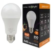 Sterowanie żarówką ECO LIGHT przez Tuya Smart