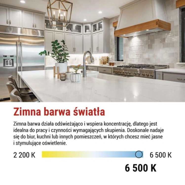 Żarówka LED Classic MR16 / GU10 / 4.9 W (75 W) / 565 lm / zimna biel