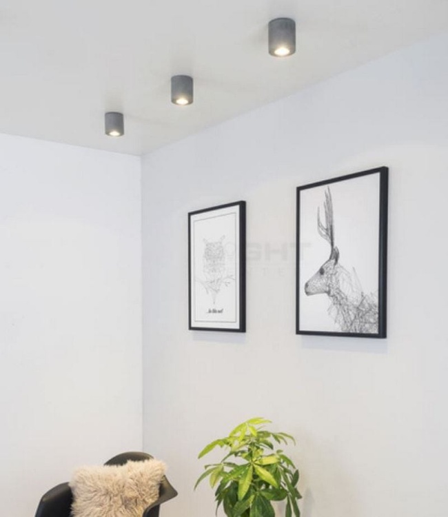 Oprawa betonowa natynkowa CONCRETEDREAM 2566136 GU10 5W 2700K 350lm