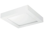Oprawa LED natynkowa DELTA 12W