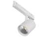 Projektor LED na szynoprzewód ACORD ALT1 30W biały