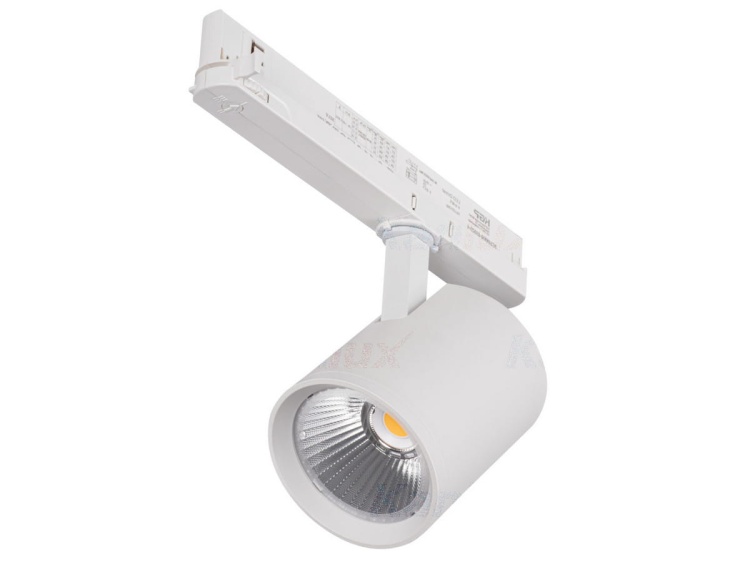 Projektor LED na szynoprzewód ACORD ALT1 30W biały
