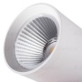 Projektor LED na szynoprzewód ACORD ALT1 30W biały