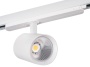 Projektor LED ACORD 30W biały