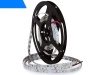 Taśma LED NIEBIESKA 4,8W/1m diody SMD 3528 60 led/1m 12V IP20 ECO