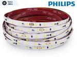 Taśma LED PHILIPS Fortimo LEDflex 1000lm/1m G1 6500K 24V PROFESJONALNA