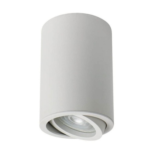 Oprawa natynkowa ULTER 50W GU10 regulowana biała BEMKO.jpg