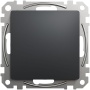 Zaślepka do ramki antracyt SDD114904 Sedna Schneider przód.JPG