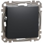 Zaślepka do ramki antracyt SDD114904 Sedna Schneider.JPG