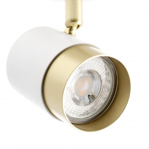 Oprawa ścienno-sufitowa ORIO 2xGU10 okrągła biało-złota GTV zbliżenie.jpg