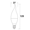 Żarówka LED płomyk C30L E14 6W 470lm b. neutralna 4000K GTV wymiary.jpg