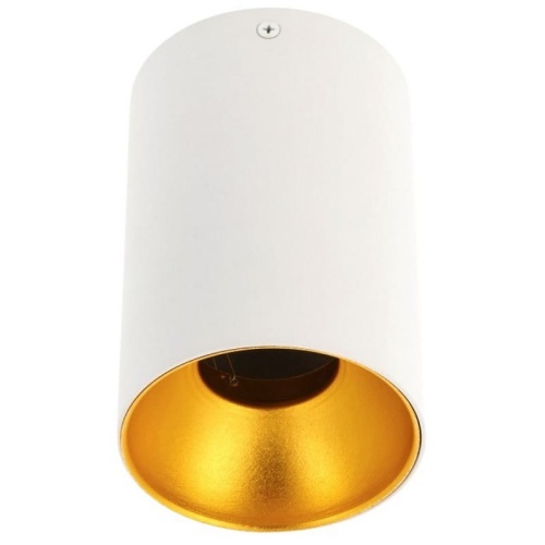 Sufitowa oprawa natynkowa TENSA biało-złota.jpg