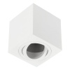 Oprawa sufitowa AVEIRO BIS max 20W IP20 kwadratowa biała GTV.jpg