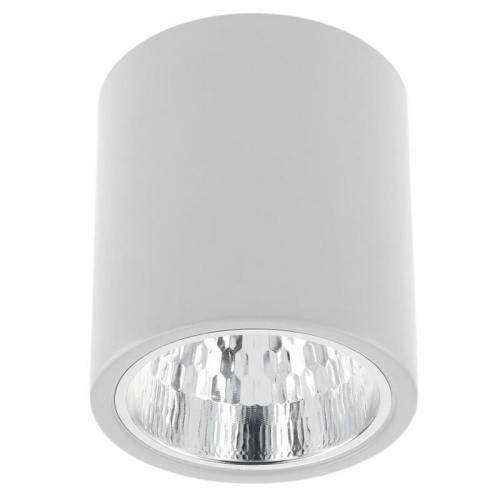 Oprawa natynkowa DRAGO biała.jpg