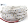 Taśma LED 6W/1m biała zimna 580lm/1m diody smd 3014 IP00
