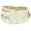Taśma LED 2835 120LED/1m biała neutralna 4000K ECO