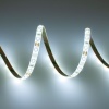 NTLCC-300-3WN-IP63.jpg