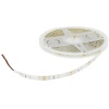 NTLCC-300-3YRGB-IP63-1.jpg