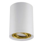 Oprawa natynkowa HARY C GU10 max 35W biało-złota IP20 STRÜHM.jpg