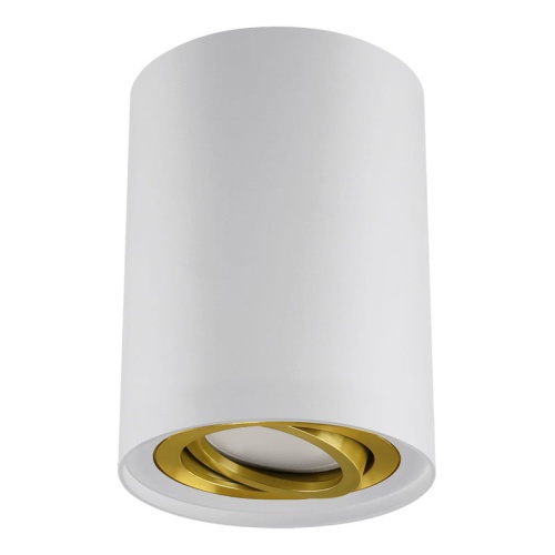 Oprawa natynkowa HARY C GU10 max 35W biało-złota IP20 STRÜHM.jpg