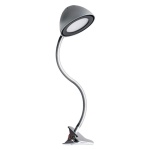 Lampka biurkowa RONI CLIP 4W 4100K 248lm IP20 srebrna STRÜHM.jpg