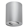 Oprawa natynkowa HARY C GU10 max 35W srebrna IP20 STRÜHM.jpg