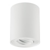 Oprawa natynkowa HARY C GU10 max 35W biała IP20 STRÜHM.jpg