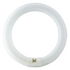 Świetlówka kołowa Master TL-E Super 80 40W 840 4000K 3200lm CT12 PHILIPS.jpg