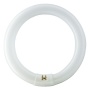 Świetlówka kołowa Master TL-E Super 80 40W 840 4000K 3200lm CT12 PHILIPS.jpg