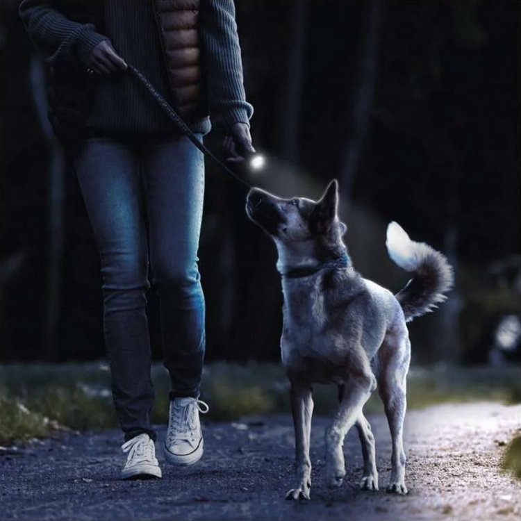 Latarka Everyday C105 LED 50lm 1×AA 30m z zoomem GP P8105 użycie