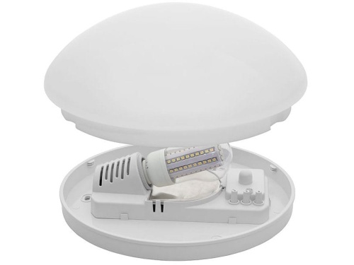 19000 PIRES ECO DL250