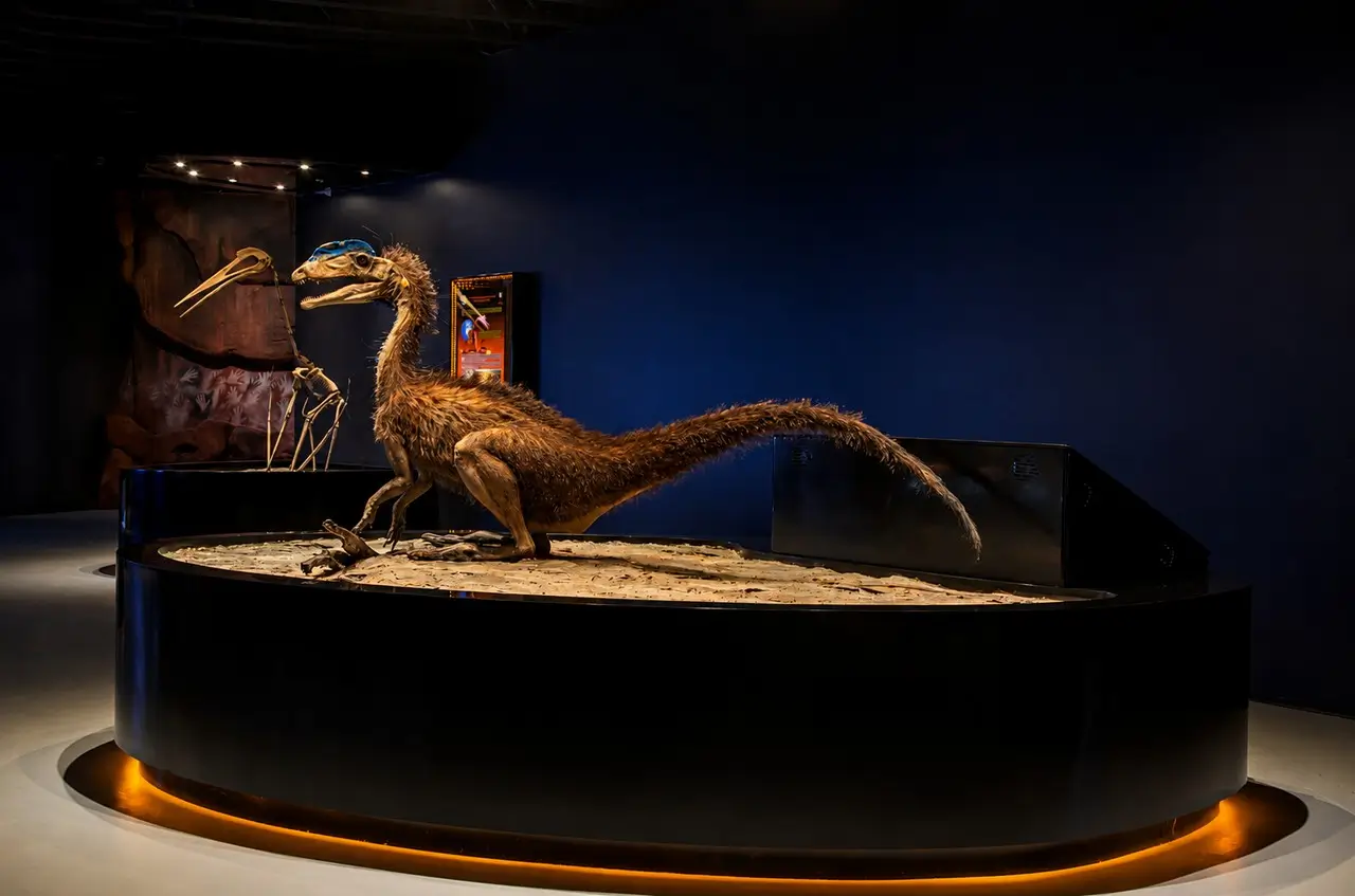 Muzeum historii naturalnej USA podświetlenie LED ekspozycji