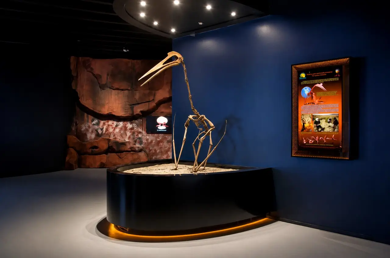 Ekspozycja paleontologiczna z oświetleniem LED